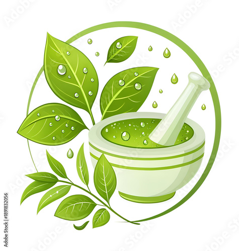 Herbal Medicine Leaves Vector Illustration