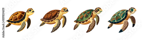 A colorful illustration of four baby turtles swimming in a row on a transparent background