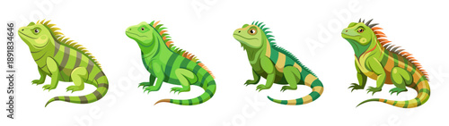 A colorful illustration of four iguanas in different poses and colors on a transparent background