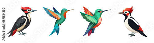 A colorful illustration of four birds in flight, showcasing a woodpecker, hummingbird, and two other species in a vibrant and lively design