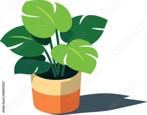 Large-leaf potted plant seen from a mild top-down angle, placed in the left third, soft daylight studio look, flat vector solid