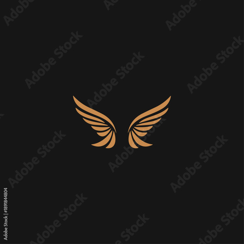 Wings logo icon flat vector design