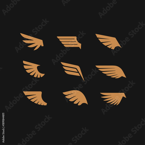 Wings set logo icon flat vector design