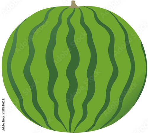 Simple Colorful Watermelon Vector Illustration