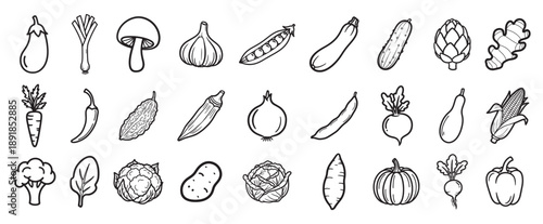 cute hand drawn vegetable doodle icons set vector illustration, cute vegetable doodles set in sketch style vector illustration, hand drawn food doodle icons collection vector illustration