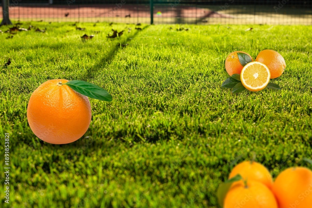 Fototapeta premium Fresh green grass with orange fruits scattered