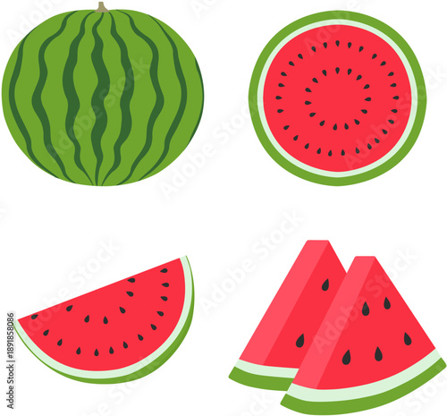Watermelon Set Vector Illustration with Different Shapes