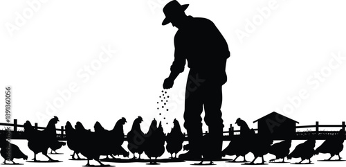Chicken, feeding, farm, activity, silhouette, posture, gesture, coop, fence, hat, scatter, poultry, rural, care, setup, agriculture, livestock, vector, black, pose, flavector
