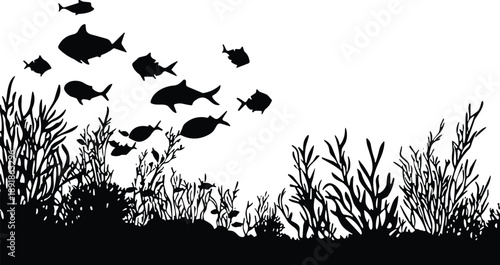 Underwater scene silhouette vector, marine life icons, fish and coral shapes, black flavector, ocean biodiversity, aquatic plants, nature theme, white background, sea graphic