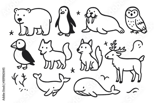 Arctic Animals Icons. Arctic animals doodle icon set: hand drawn icons of polar bear, penguin, walrus, seal, husky, arctic fox, puffin, reindeer, whale, and snow owl. isolated transparent background