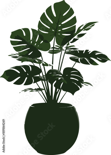 Silhouette of a potted monstera deliciosa plant on a white background