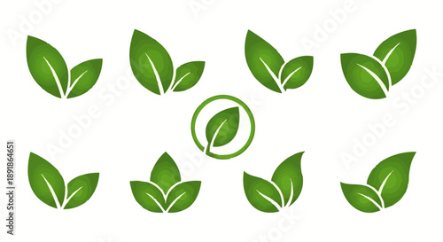 Green leaf in a circular pattern on white background green leaves leaf circular pattern eco friendly