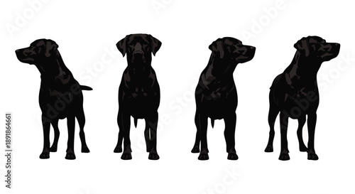 Four black dog silhouettes in different poses dogs black dogs canine animals