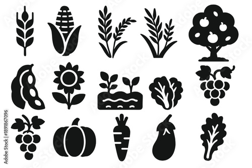 Solid Crop Icons. Solid style icons of Agriculture crops: wheat, corn, rice, barley, soybean, sunflower, vegetable 