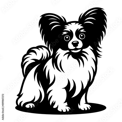 Papillon Dog