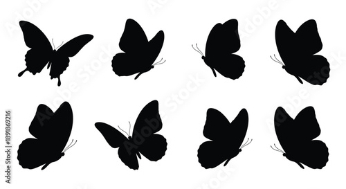 Collection of black butterfly shapes against a white background silhouette