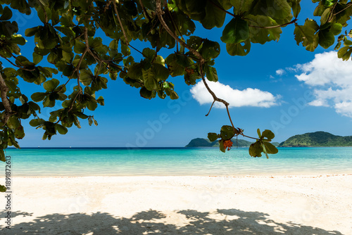 Paradise beach with white sands,  turquoise sea at Iriomote island.