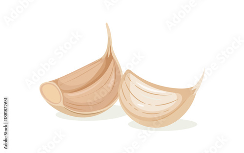Detailed illustration of garlic cloves on a neutral background viewed from a straightforward angle