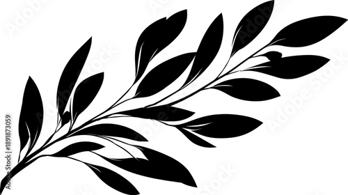 A black and white illustration of a botanical element, featuring a branch with elongated leaves