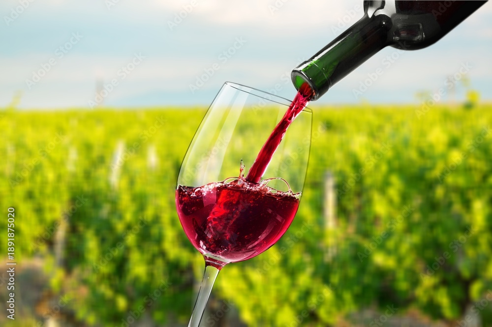 Naklejka premium Scenic of glass of wine against green vineyard