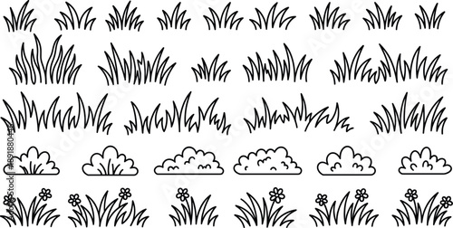 Hand Drawn Doodle Grass Set With Field Plants And Botanical Sketch Elements Vector Illustration on transparent background