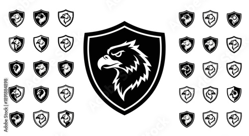 shield with wings and sword
