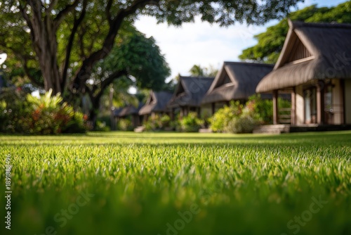 Wallpaper Mural Single-story homes with a lush yard Torontodigital.ca