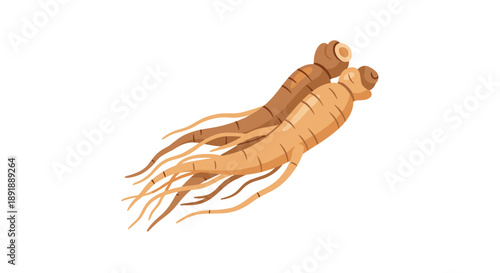 Two Crossing Ginseng Roots Isolated on White Background Herb Graphic