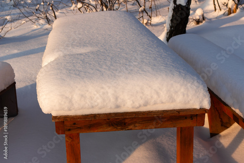 Wallpaper Mural Snow-covered park table and benches bathed in the warm glow of golden hour sunlight, creating a tranquil winter scene. Torontodigital.ca