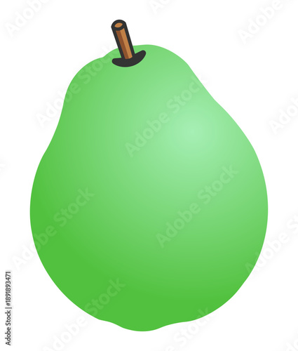 Fresh Green Guava Fruit Pear Vector Illustration Isolated