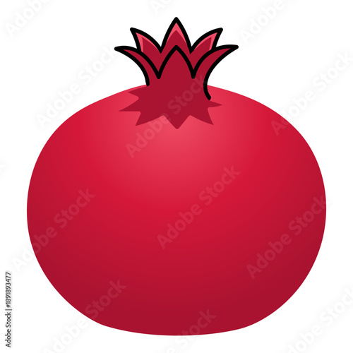 Red Pomegranate Fruit Vector Illustration Isolated Flat Style