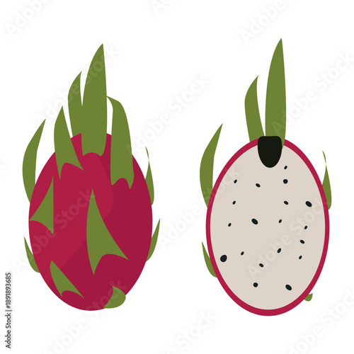 Summer tropical fruit. Abstract hand-drawn illustration of dragon fruit.