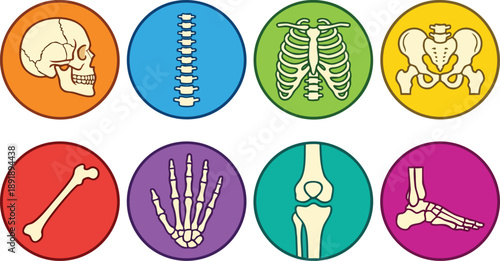 Human Bones Anatomy Icons Set.