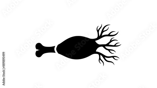 Vector illustration of a neuron or nerve cell structure, on transparent background