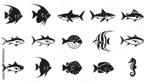 Vector illustrations of various marine animals including fish, shark, and seahorse, depicted in black and white from a top viewpoint