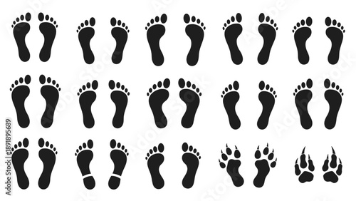 Collection of various footprints and animal tracks in vector format on a clean background viewed from directly above