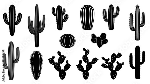 Vector illustration of various cacti silhouettes in different shapes and sizes from a front view