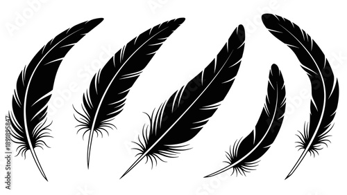 Vector illustration of feathers in flight, showcasing elegance and simplicity from a side view.