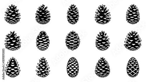 A vector collection of pine cones arranged neatly in a grid pattern on a clean white background from a straightforward viewpoint.