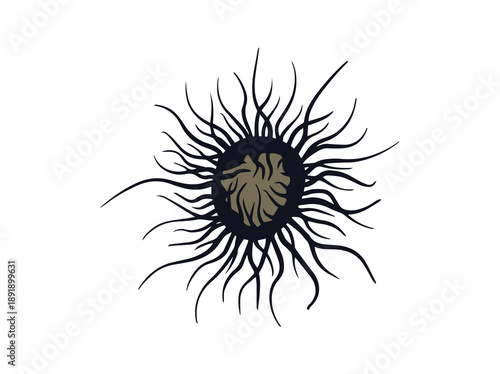 Spore Chaetomium Fungus Clip Art

