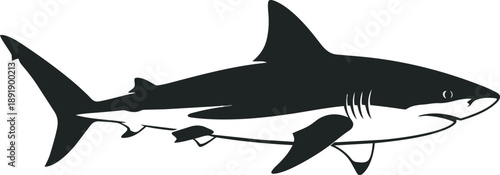 Black and White Shark Silhouette Illustration.