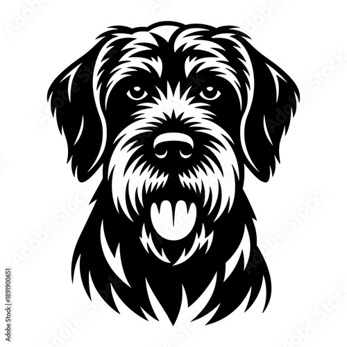 Wirehaired Pointing Griffon Dog