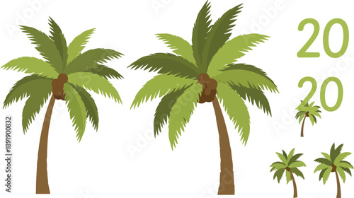 Palm Trees Illustration with Numbers Twenty.