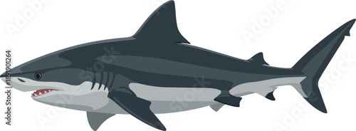 whisk_wic12w_via_RJ_Whisk_Auto