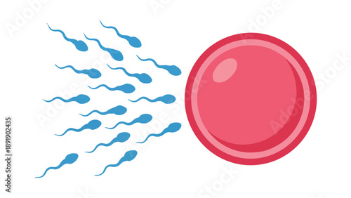 Cartoon Style Sperm Cells Racing to Fertilize Female Egg Cell
