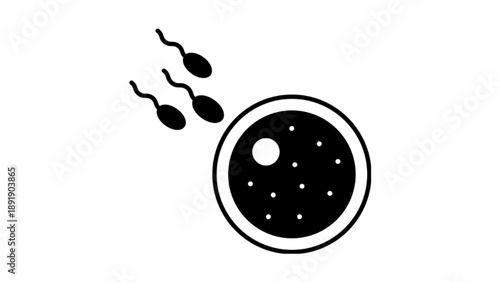 Minimalist Black and White Human Fertilization Icon Vector Illustration