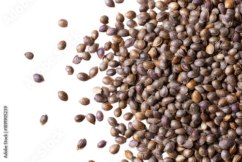 Close-up of Hemp Seeds on White Background