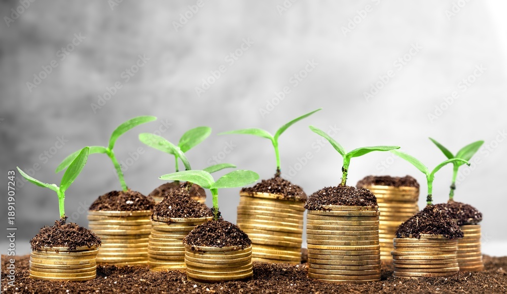 Naklejka premium Holly bible book with money coins on desk