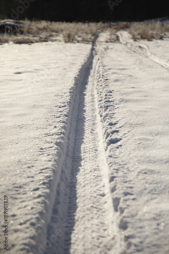 Wallpaper Mural Tire tracks in the snow during the winter season in Ontario, Canada. Torontodigital.ca