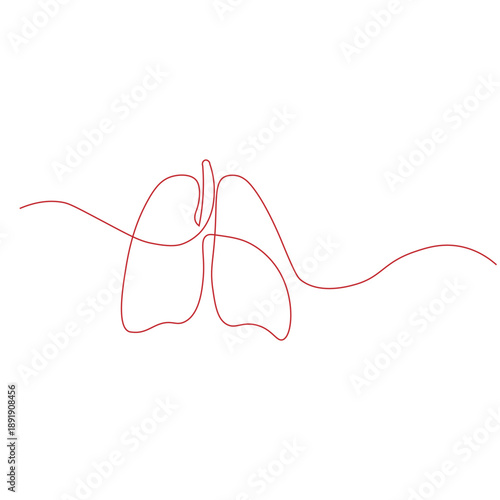  line art drawing of human lungs,Anatomy of lungs one line concept,Lungs outline